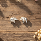 Boho dried flowers wooden surface