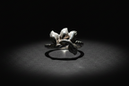 Noir Spotlight – Corrected Ring