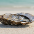 Pearl Bow Earrings – Oyster Shell Beach